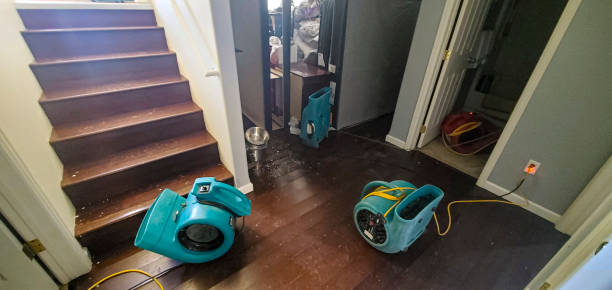 Best Fire Damage Restoration  in Bylas, AZ