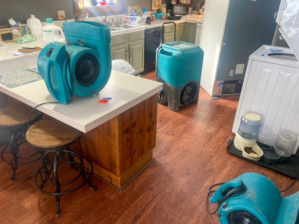 Best Emergency water damage restoration  in Bylas, AZ