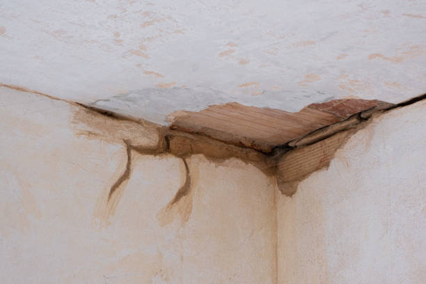 Best Residential water damage restoration  in Bylas, AZ