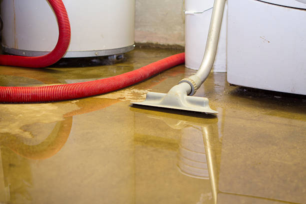Best Fire Damage Restoration  in Bylas, AZ