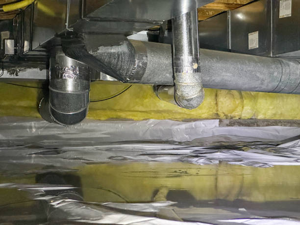 Best 24-hour water damage restoration  in Bylas, AZ