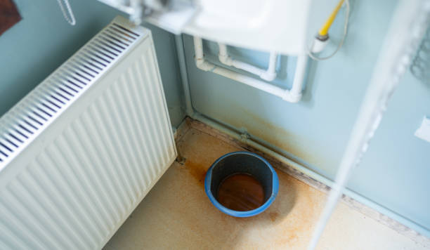 Best Flooded house restoration  in Bylas, AZ