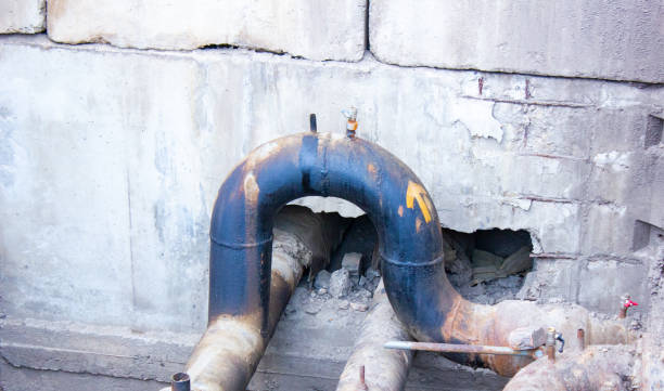 Best Water damage repair service  in Bylas, AZ