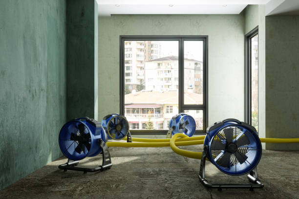 Best Water damage mitigation services  in Bylas, AZ