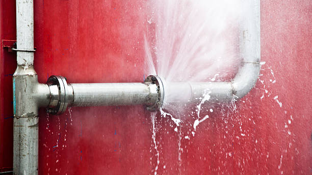 Best Water damage restoration near me  in Bylas, AZ